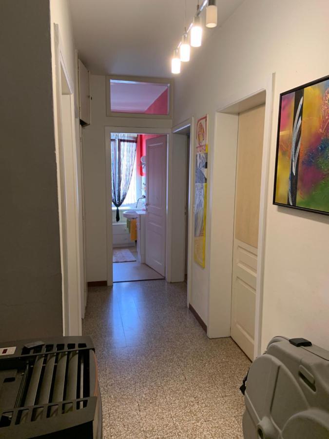 Casa Doya Daire Muralto Dış mekan fotoğraf